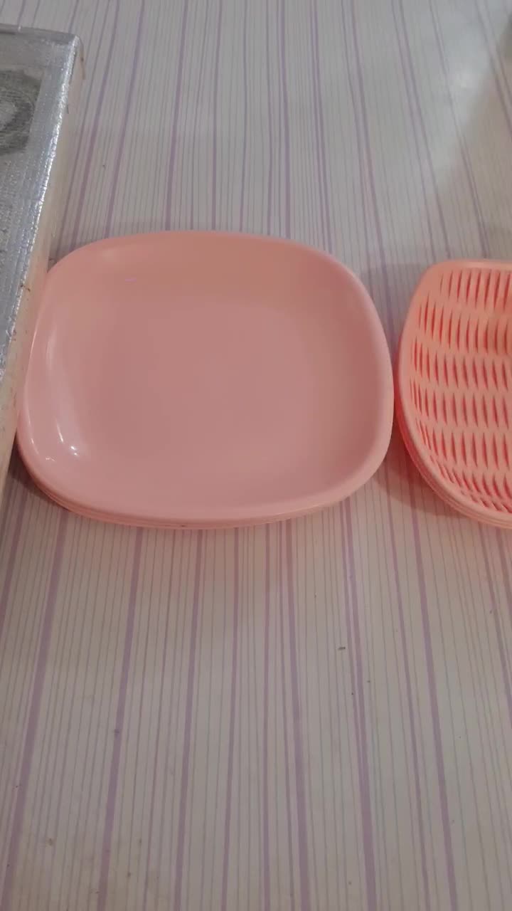 ظروف ۵۰پارچه مسافرتی ۶نفره|ظروف نگهدارنده، پلاستیکی، یک‌بارمصرف|اسفراین, |دیوار