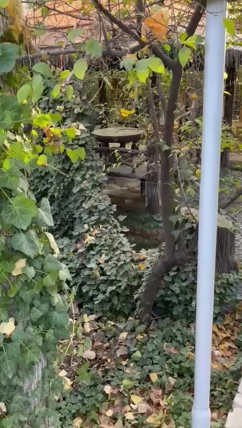 اجاره ویلا استخر سر پوشیده باغبهادران|اجارهٔ کوتاهمدت ویلا و باغ|اصفهان, بوستان آینه خانه|دیوار