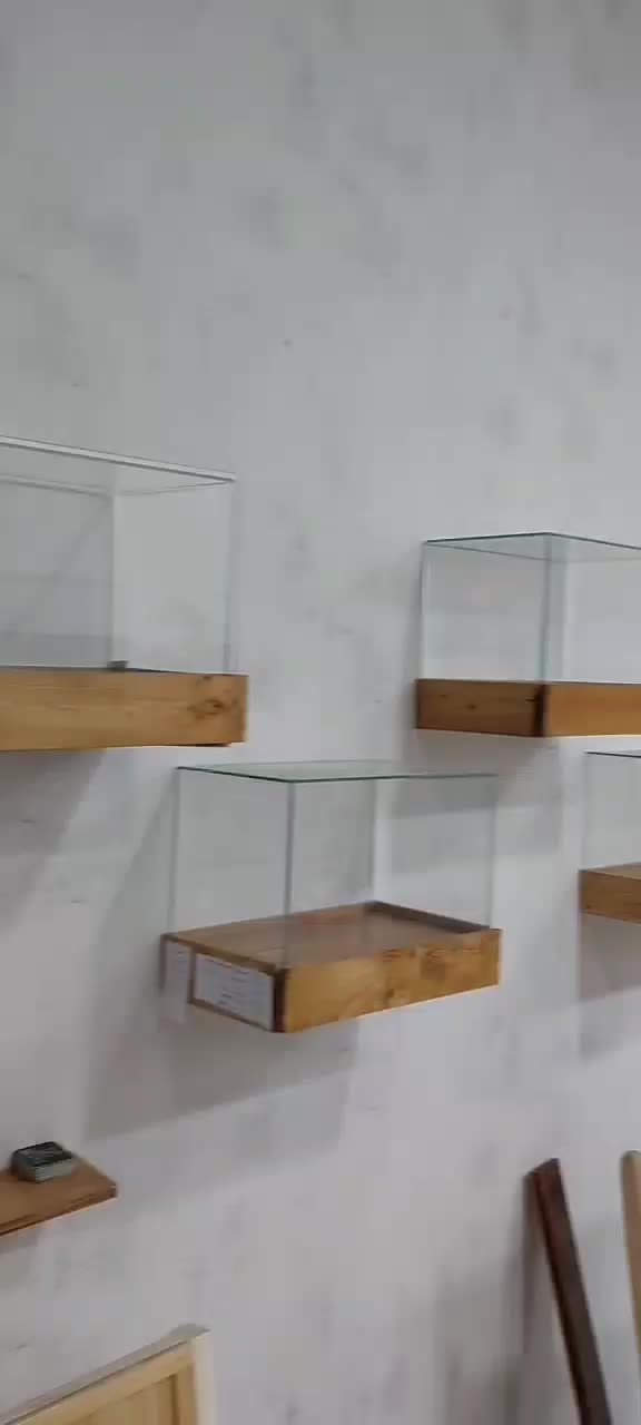 باکس چوب شیشه|کتابخانه، شلف، قفسههای دیواری|شیراز, تندگویان|دیوار