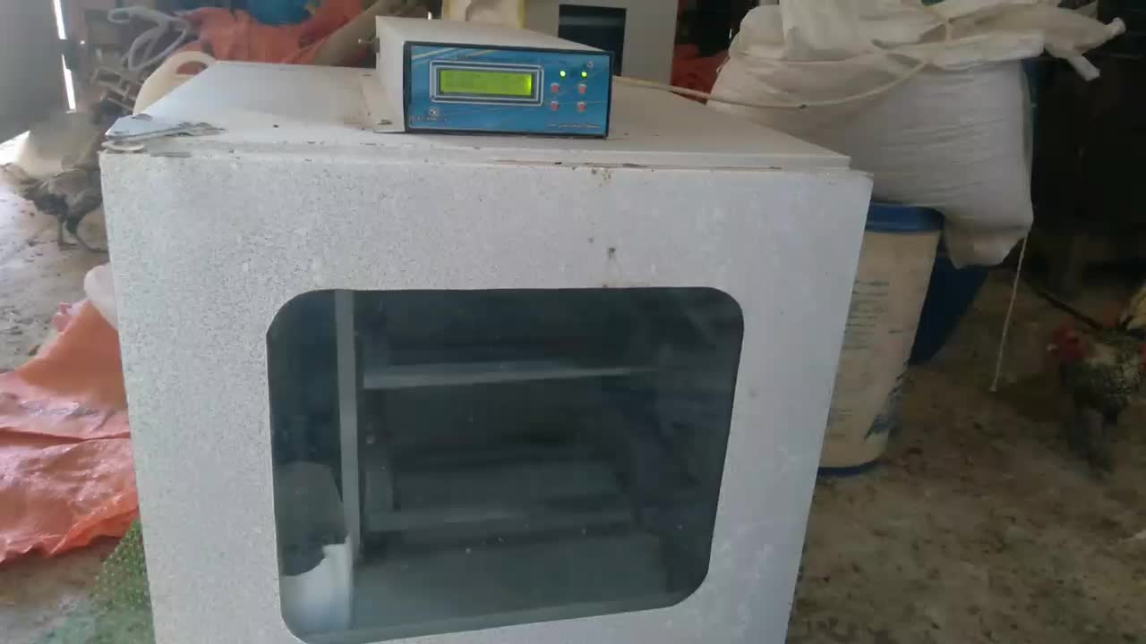 دستگاه جوجه کشی  هما سالم ۸۴ تای قیمت ۵۷۰۰ تومان|لوازم جانبی حیوانات|سبزوار, قصبه شرقی|دیوار