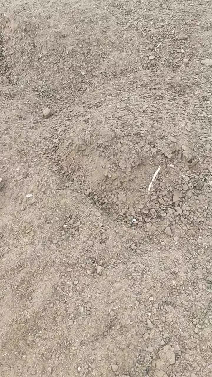 کود کهنه گوسفندی نیسانی جکی|خدمات باغبانی و درختکاری|دزفول, |دیوار