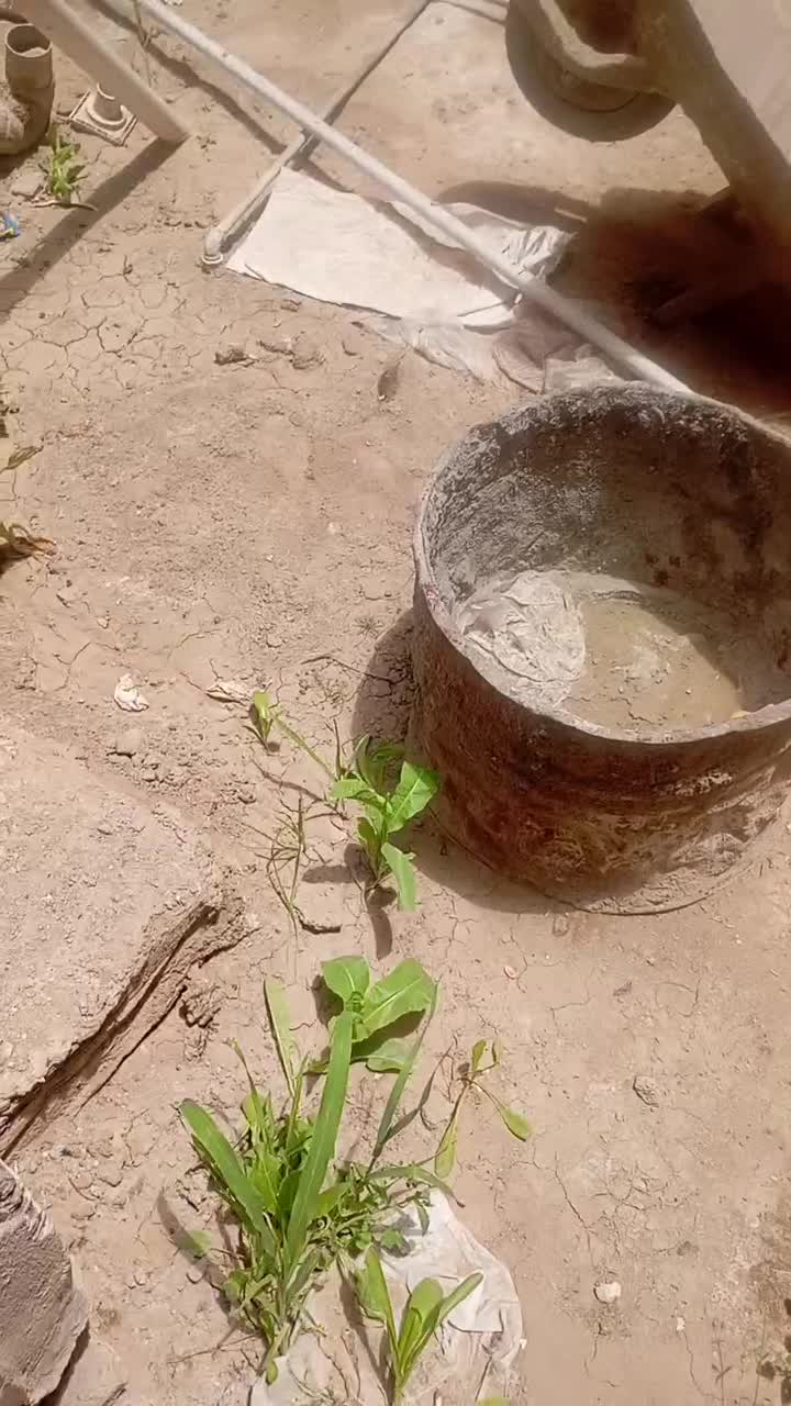 انبار با حیاط ۱۲۷مترونیم سند تک برگ خیابان امام|فروش آپارتمان|سیرجان, |دیوار