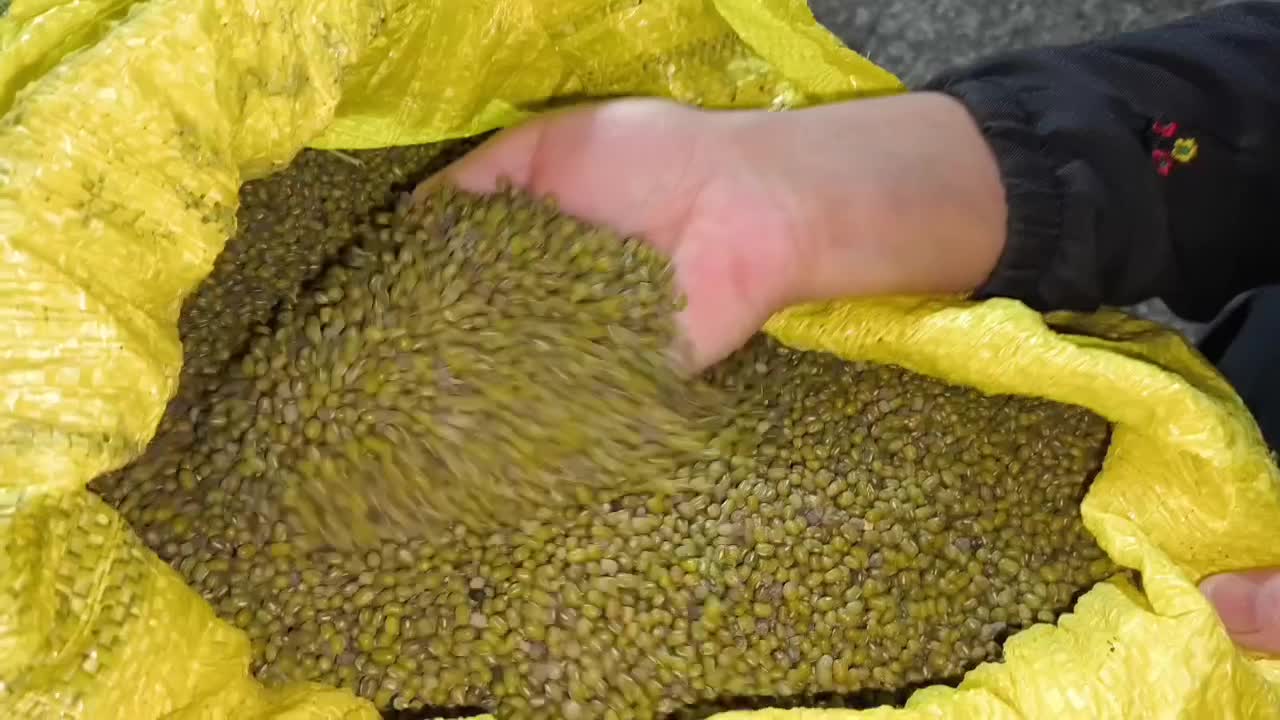 ماش|خوردنی و آشامیدنی|اندیمشک, |دیوار