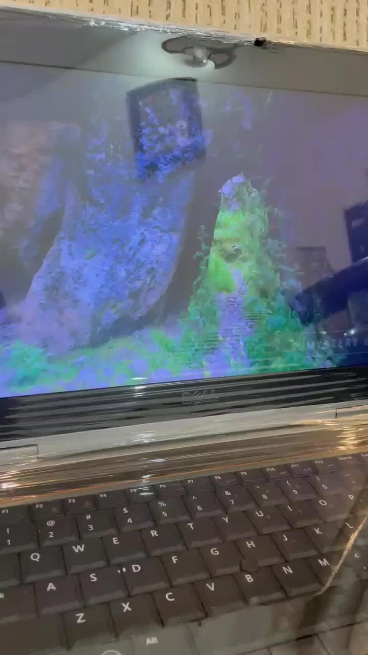 dell latitude i5 قوی تر از i5 نسل ۷|رایانه همراه|رشت, چله خانه|دیوار