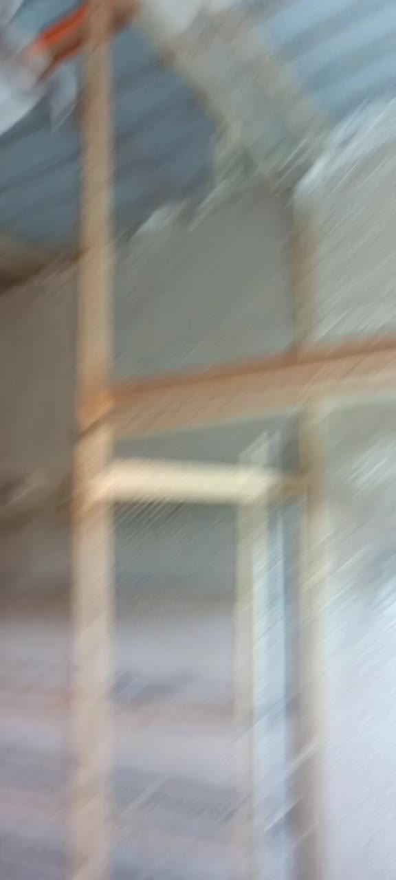 عروس مولد ۱۰۰ درصد گله ای|پرنده|چمستان, |دیوار