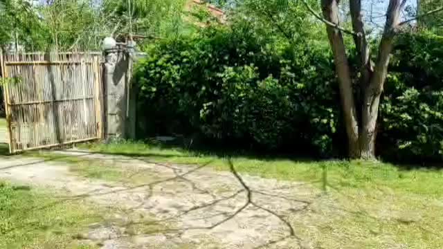 ویلا باغ دوخوابه  در دل طبیعت ماسال کد (۱۳۰)|اجارهٔ کوتاه‌مدت ویلا و باغ|ماسال, |دیوار