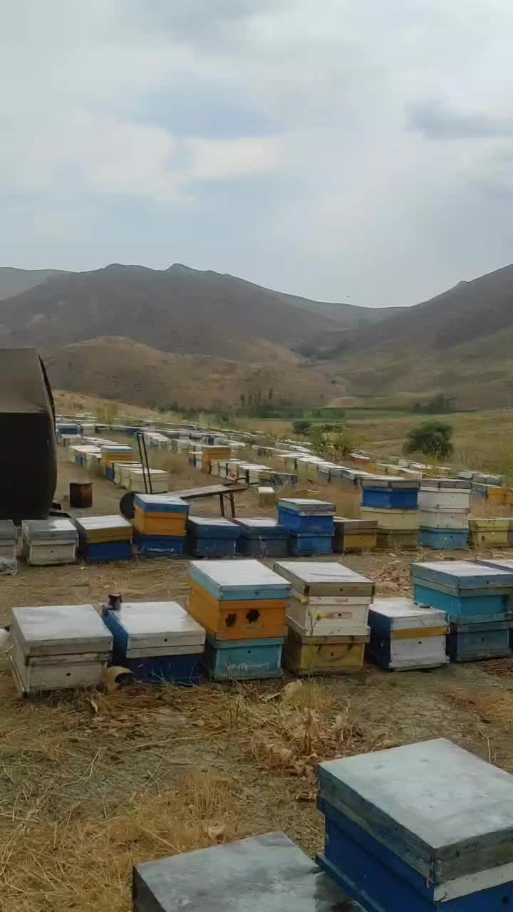 عسل گون گز ، جزئی و کلی|خوردنی و آشامیدنی|نجفآباد, جلال آباد|دیوار