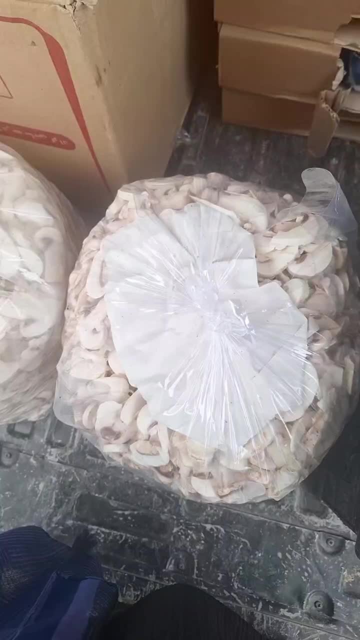 قارچ قیمت درب کارخانه مخصوص پخشی ها و ویزیتور|خوردنی و آشامیدنی|رشت, منظریه|دیوار