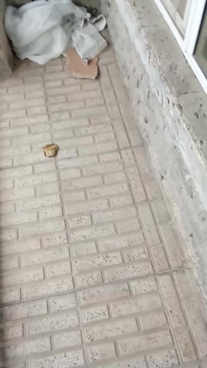 اجاره و فروش خانه دوطبقه|اجارهٔ خانه و ویلا|پارسآباد, |دیوار