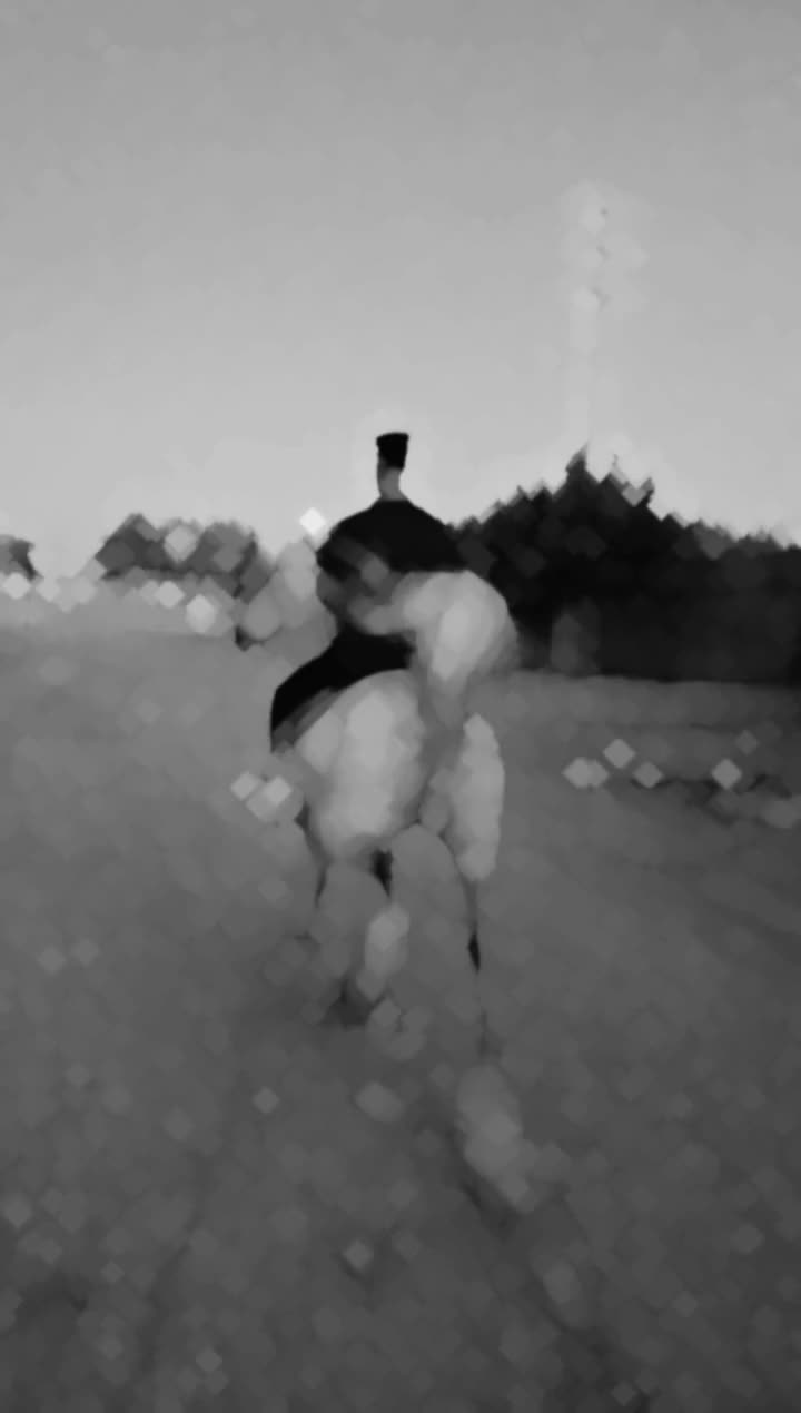 نریان کورد 9 ساله کره اژدر حاج کرم|اسب و تجهیزات اسب‌سواری|مشکین‌دشت, |دیوار