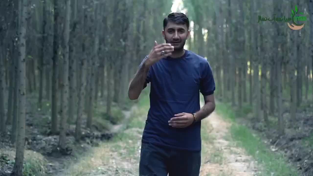 تولید نهال صنوبر|خدمات باغبانی و درختکاری|ورزقان, |دیوار