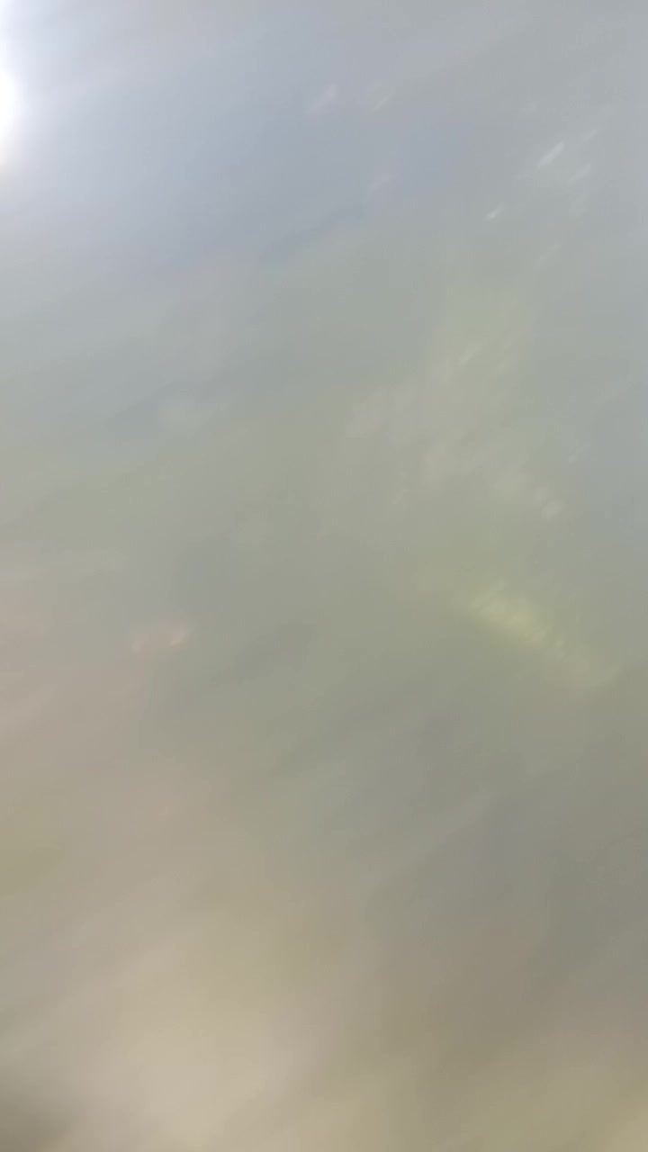 تولیدی گل و گیاه زینتی|گل و گیاه طبیعی|آمل, |دیوار