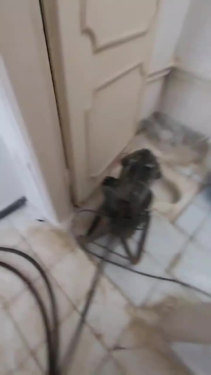 چاه بازکن فنرزدن کل مشهد (رفع نم بو)بادستگاه۲۴ساعت|خدمات پیشه و مهارت|مشهد, شهید فرامرز عباسی|دیوار