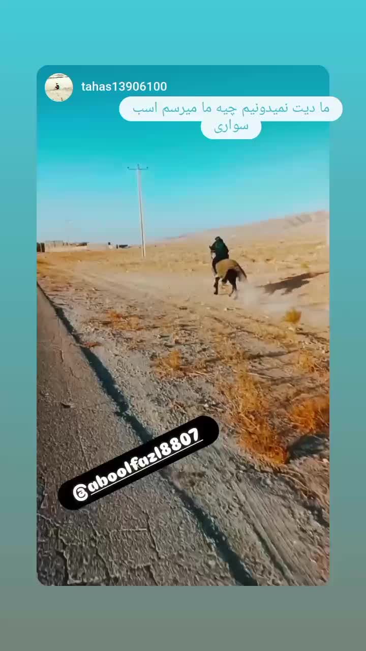 اسب|اسب و تجهیزات اسب‌سواری|قوچان, |دیوار