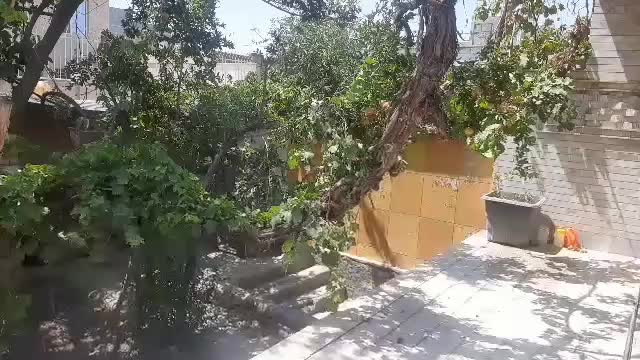 اجاره خانه ویلایی 500 متری ۵ خوابه در منجیل آباد|اجارهٔ خانه و ویلا|رباط‌کریم, منجیل آباد|دیوار