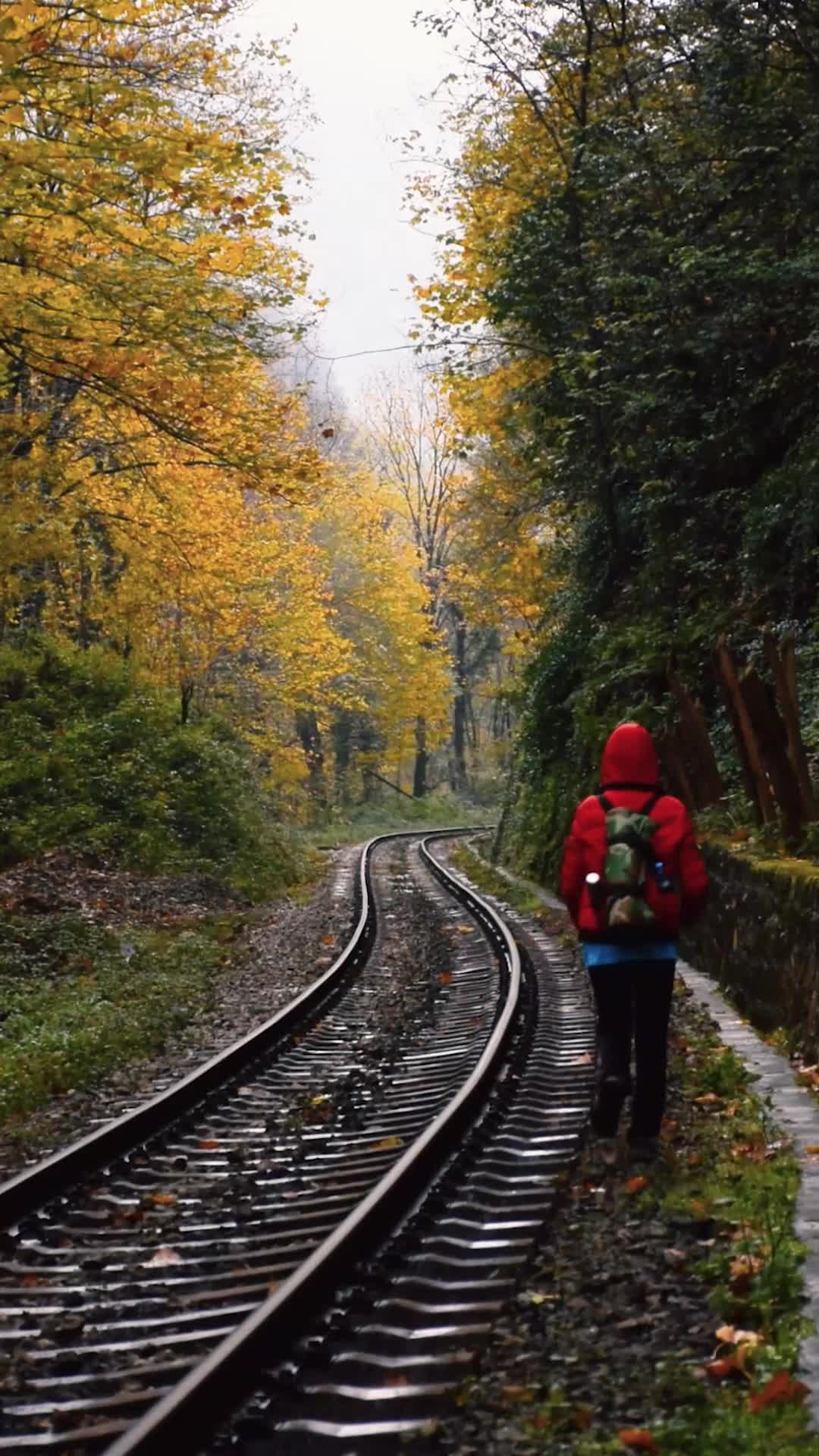 عکاسی پرتره و مدل در فضای باز (اقتصادی)|خدمات پذیرایی، مراسم|بابلسر, |دیوار
