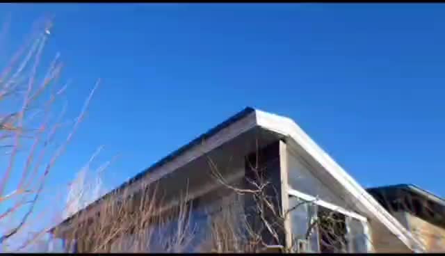 اجاره ویلا باغ، سوییت|اجارهٔ کوتاهمدت ویلا و باغ|بروجرد, |دیوار