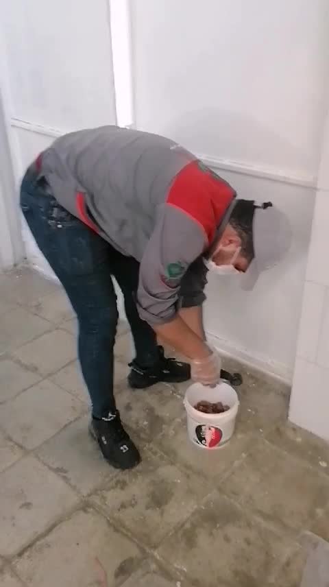 شرکت سمپاشی ریشمیز موریانه سوسک ساس کنه منازل|خدمات نظافت|شیراز, معالیآباد|دیوار