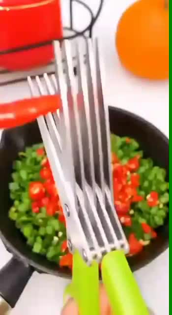 قیچی سبزیجات|ابزارآلات|فردوس (خراسان), |دیوار