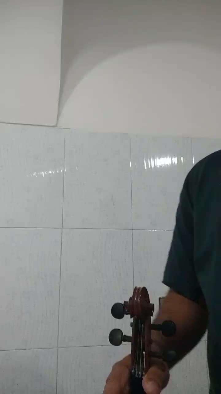 ویولون tf142اصل|ویولن|سقز, |دیوار