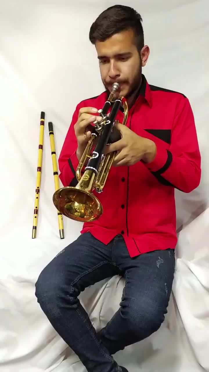 کاور ترومپت|سازهای بادی|نیشابور, رحمت آباد|دیوار