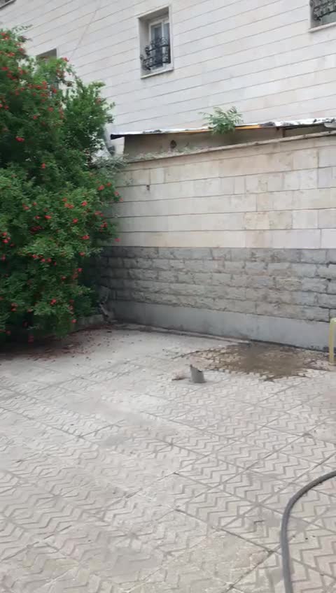 فروش آپارتمان ۱۰۳ متری ۲ خوابه همکف در کیانمهر|فروش آپارتمان|کرج, کیانمهر|دیوار