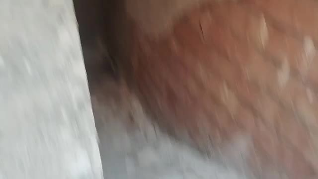 واحد پیش فروش در حصار امیر|پیشفروش املاک|پاکدشت, حصار امیر|دیوار