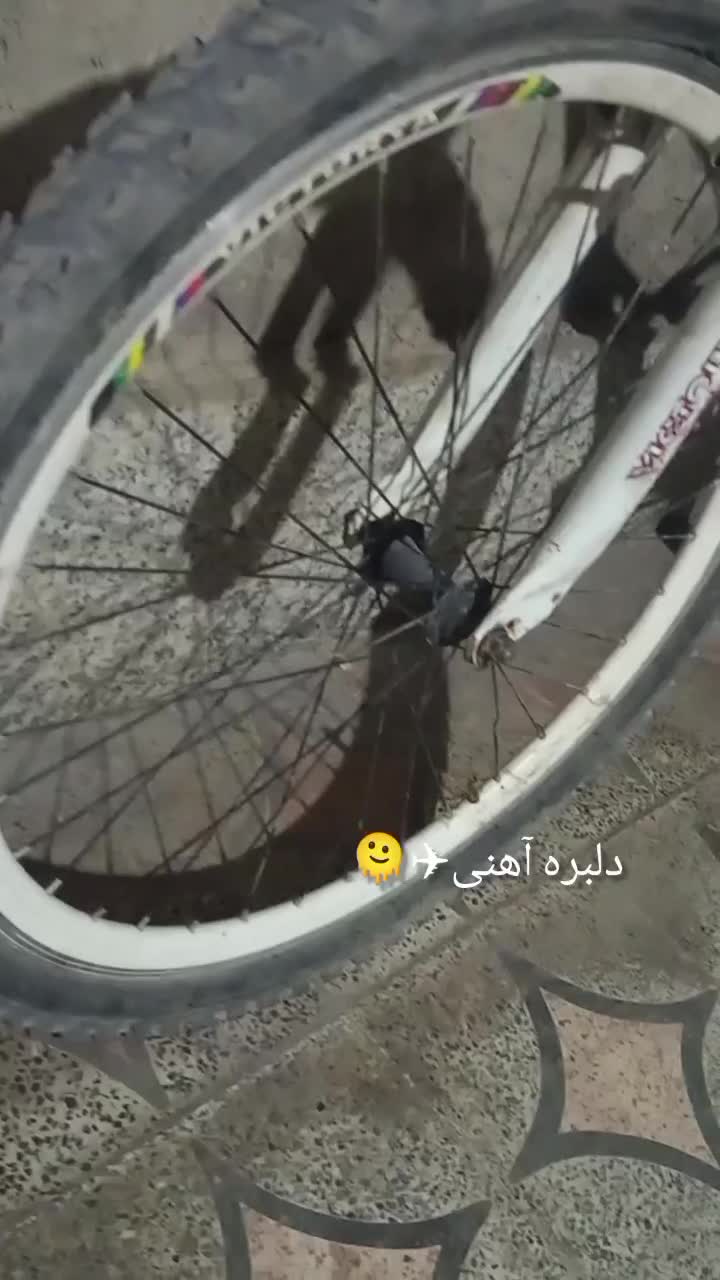 دوچرخه سالم درحد خشک|دوچرخه، اسکیت، اسکوتر|ایرانشهر, |دیوار