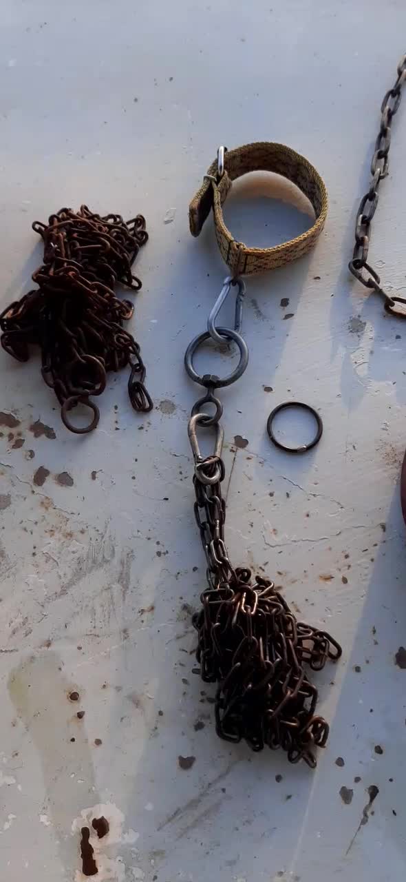 قلاده چرمی وزنجیر قدیمی|لوازم جانبی حیوانات|قزوین, |دیوار