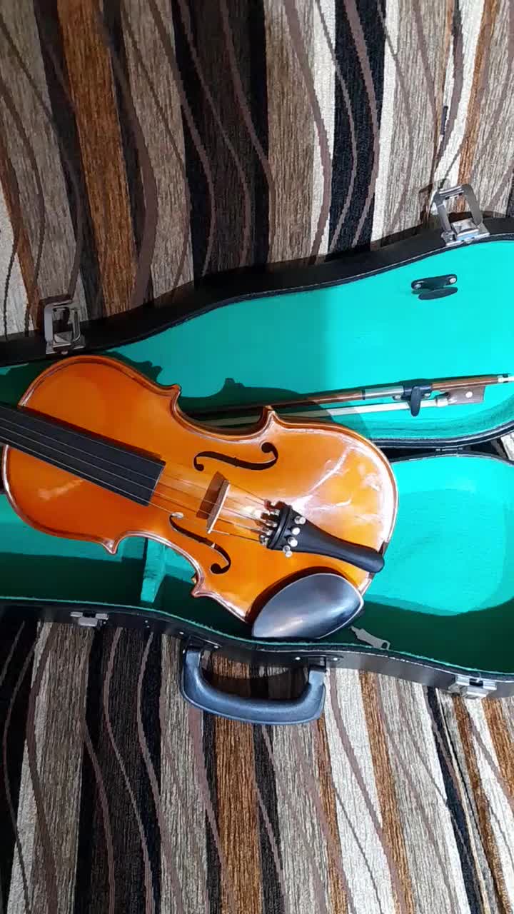 ویولن ۳/۴|ویولن|رشت, دروازه لاکان|دیوار