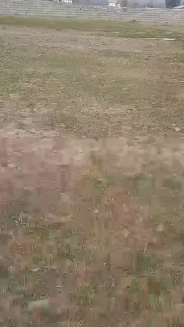 فروش یا معاوضه یک قطعه زمین کشاورزی در کلاردشت|فروش زمین و ملک کلنگی|کلاردشت, |دیوار