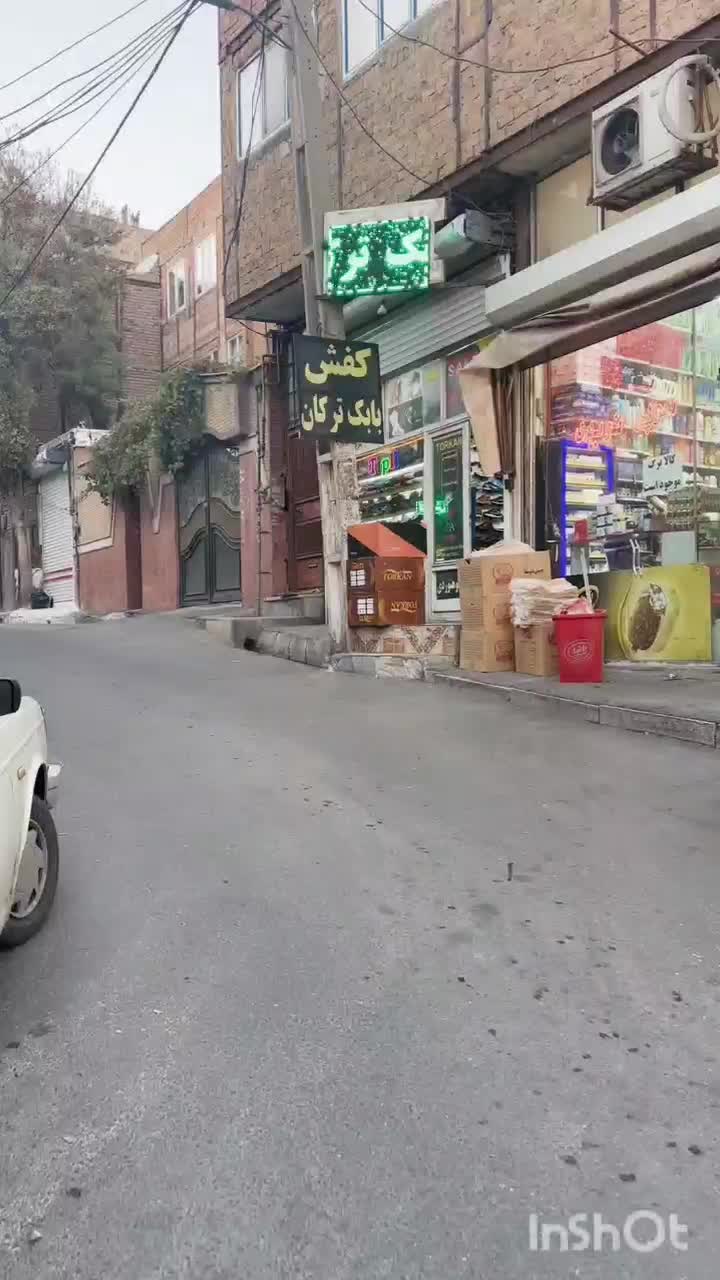 (کفش بابک ترکان)ورزشی سالنی فوتسال مرکوریال|کیف، کفش، کمربند|تبریز, |دیوار