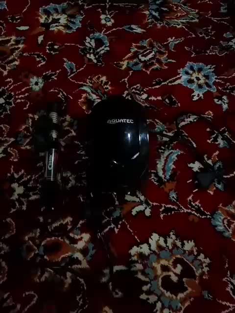 قیمت|ماهی|بندر ماهشهر, |دیوار