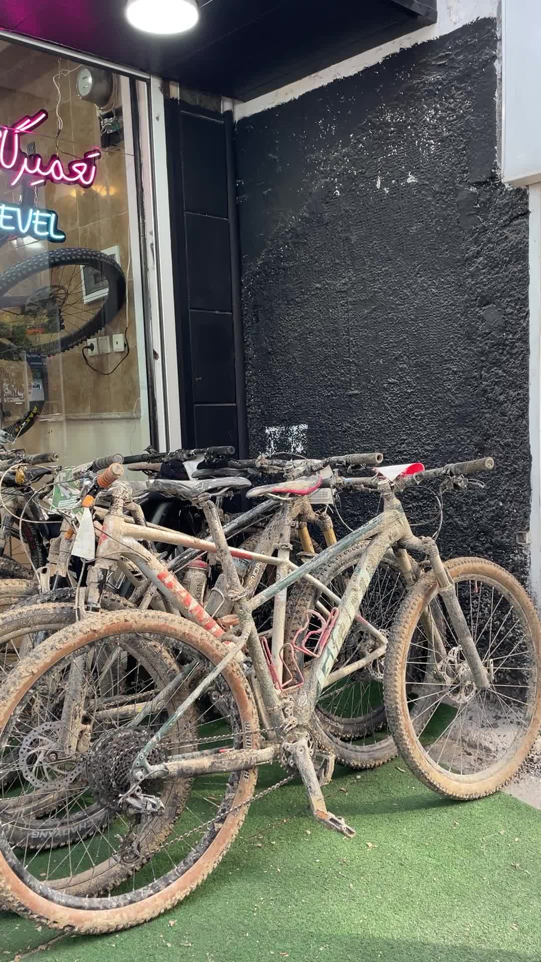 تعمیرگاه دوچرخه|فروشگاه و مغازه|ساری, |دیوار