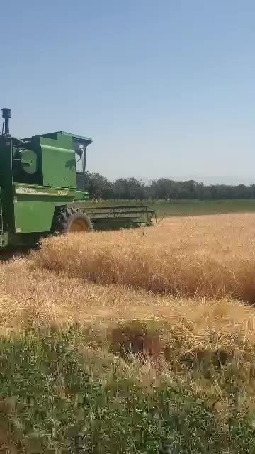 باغ حاصلخیر واقع در عجبشیرمتراژ۷۶۰۰ روستای ششوان|فروش دفتر صنعتی، کشاورزی، تجاری|عجب شیر, |دیوار