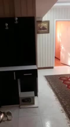 هتل آپارتمان یک خوابه و دو خوابه با پارکینگ|اجارهٔ کوتاه‌مدت آپارتمان و سوئیت|مشهد, امام رضا (ع)|دیوار