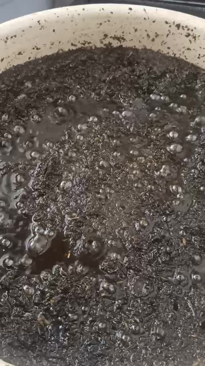 قرمه سبزی|خوردنی و آشامیدنی|رشت, گلسار|دیوار
