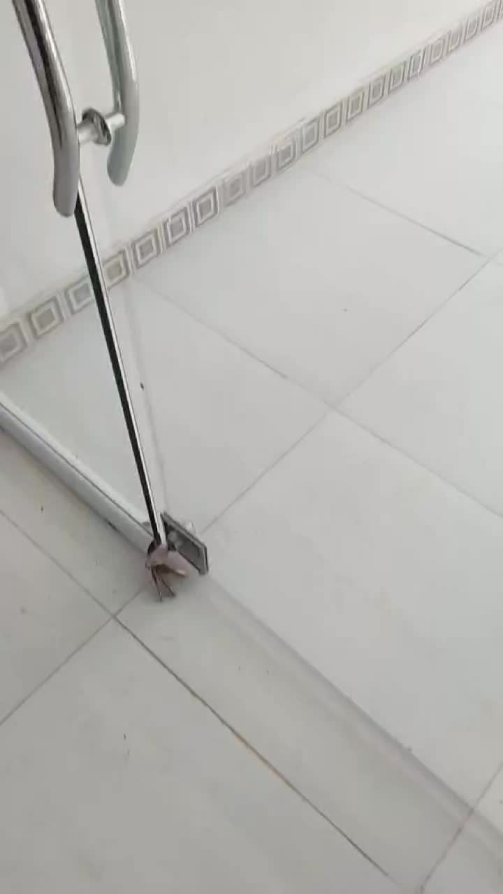 تعمییرات ساختمانی|خدمات پیشه و مهارت|قم, جهان بینی|دیوار