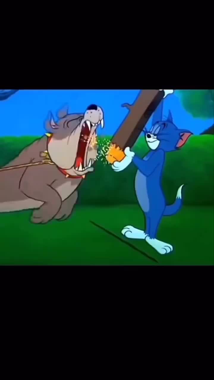 کاپشن چرمی/کاپشن پاییزی/کاپشن زمستانی/پرداخت درمحل|لباس|اصفهان, نقش جهان|دیوار