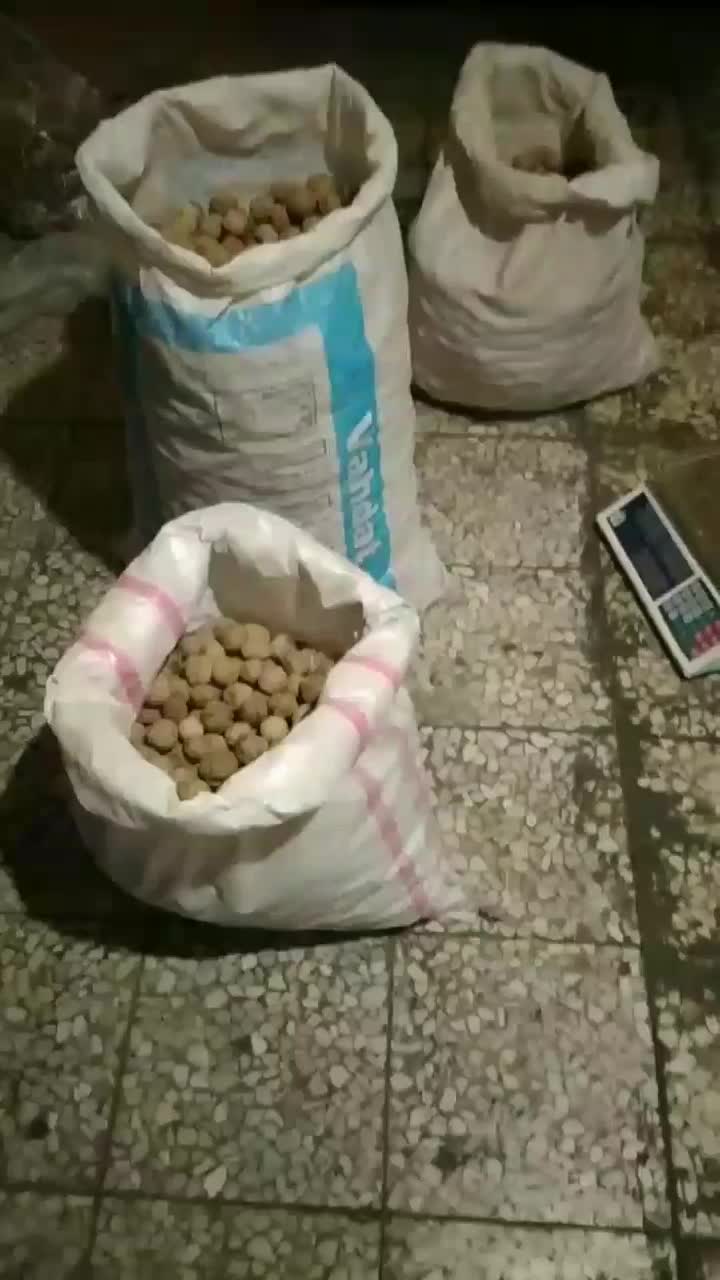 گردوی تویسرکان|خوردنی و آشامیدنی|تهران, پرستار|دیوار