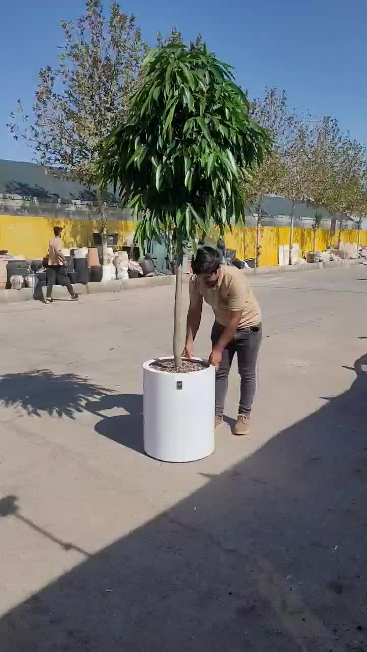 گل ها و گلدون های مدرن و جدید|صنایع دستی و سایر لوازم تزئینی|تهران, جماران (نیاوران)|دیوار