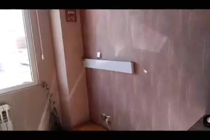 بندرخت دیواری تاشو آرامش سازان (خلج)|بندرخت و رختآویز|تهران, تهرانسر مرکزی|دیوار