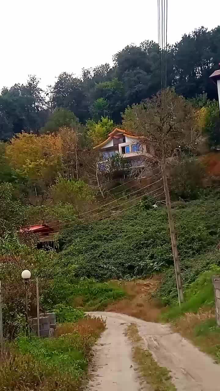 ویلا در دل جنگلهای لفور|اجارهٔ کوتاهمدت آپارتمان و سوئیت|شیرگاه, |دیوار