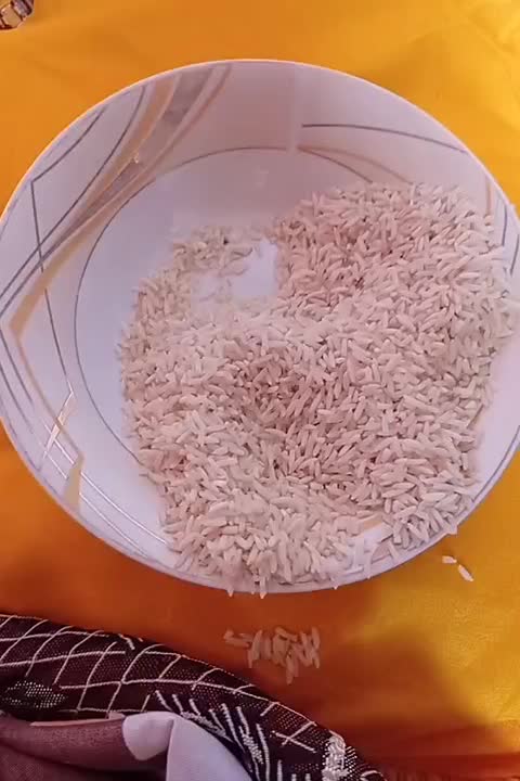 لاشه هاشمی|خوردنی و آشامیدنی|سنگر, |دیوار