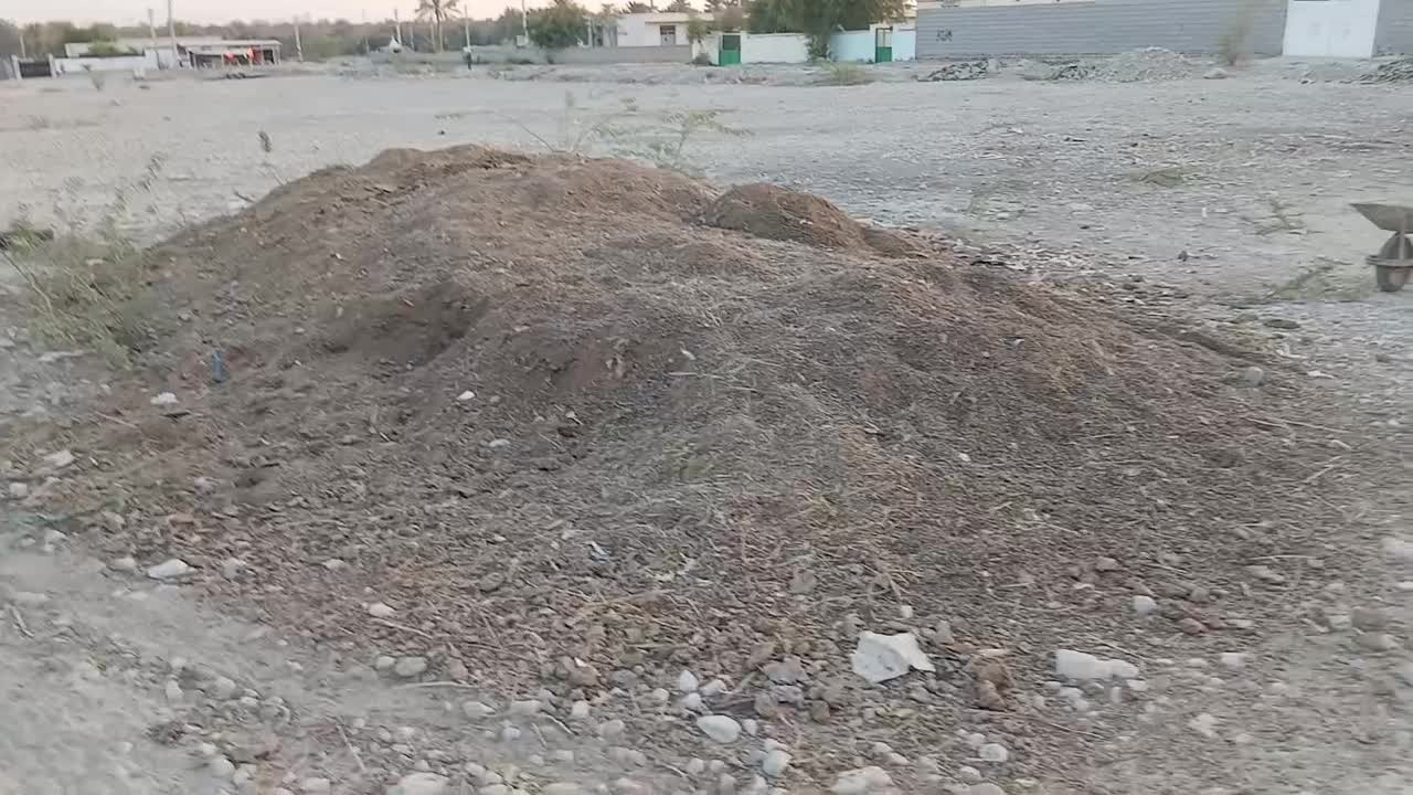 کود حیوانی|خدمات باغبانی و درختکاری|تخت, |دیوار