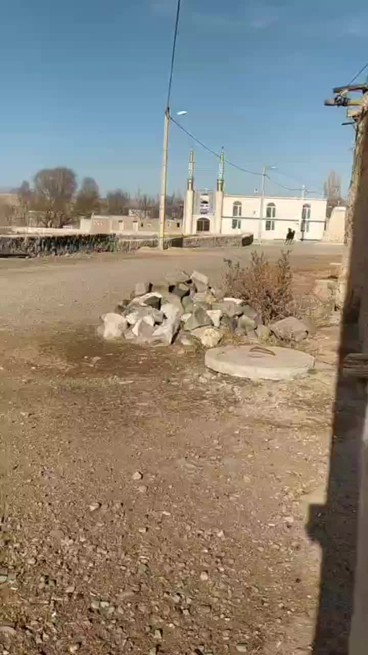 اسب|اسب و تجهیزات اسب‌سواری|نمین, |دیوار