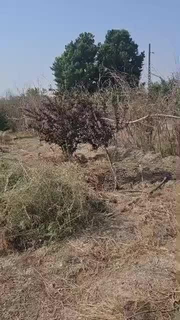 فروش زمین ۵۰۰ متری رباط کریم وهن آباد نوده دوم|فروش زمین و ملک کلنگی|رباط‌کریم, نوده|دیوار