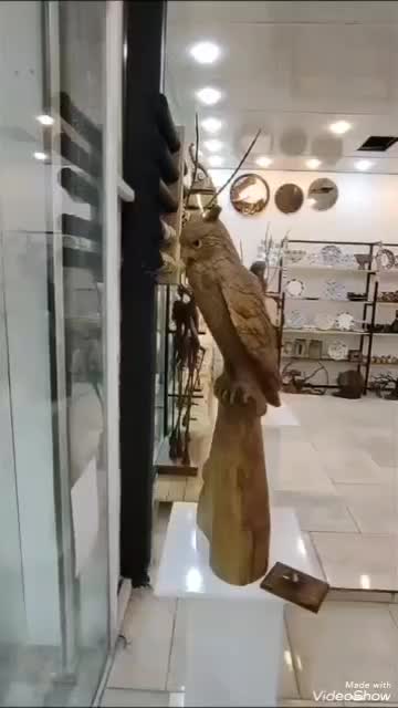 گروه هنری آهو پذیرای حضور گرم شماست|صنایع دستی و سایر لوازم تزئینی|شیراز, باغ تخت|دیوار