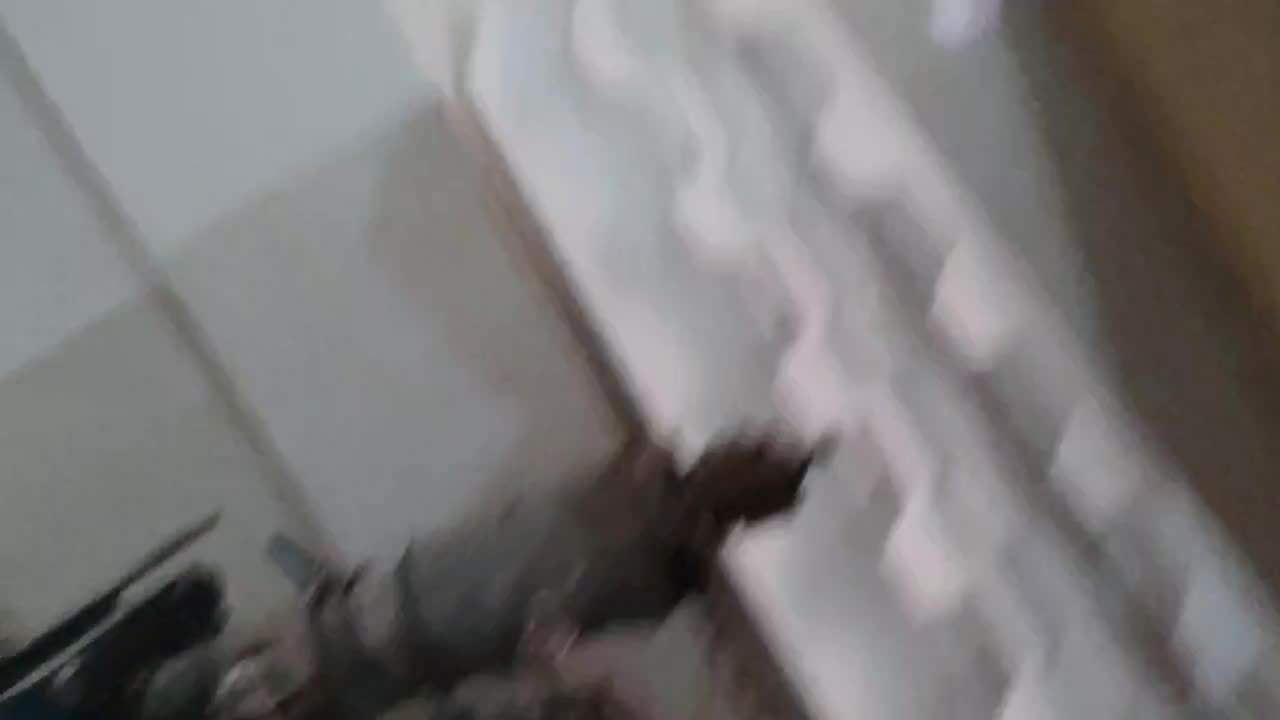 سیلندر ماردون گرانول|ماشین‌آلات صنعتی|بهارستان, |دیوار