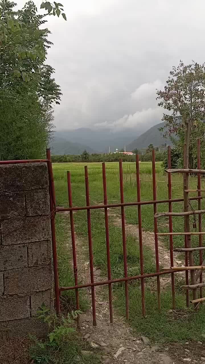 اجاره شبانه هفتگی ماهانه خونه باغ ذربست|اجارهٔ کوتاه‌مدت آپارتمان و سوئیت|تنکابن, |دیوار